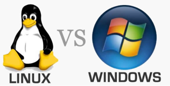 Linus vs Windows